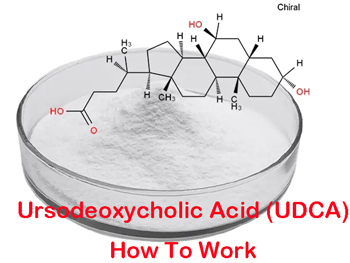 How Do Ursodeoxycholic Acids Work?